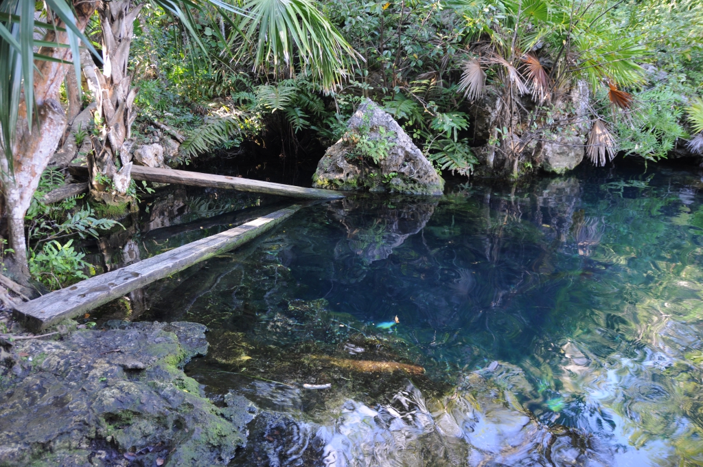 Cenote El Eden  
